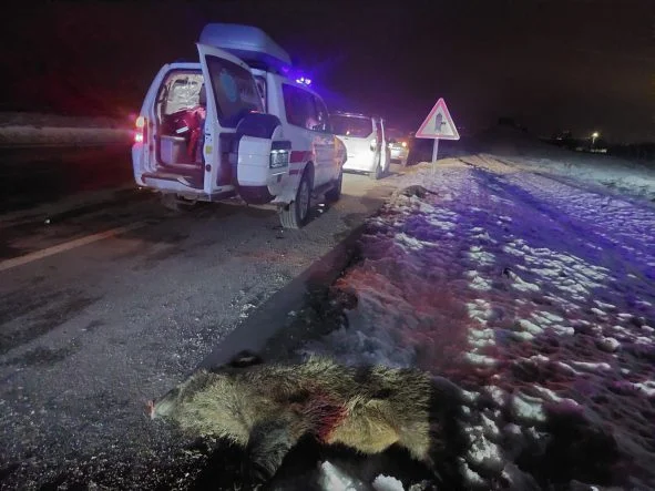 6fc33aa9-bf81-4c16-a349-00b9d80f4342