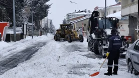 Genç’te Karla Mücadele Tamam-