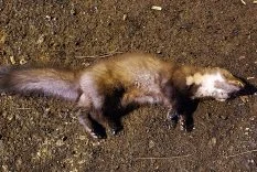 WhatsApp Image 2026-02-18 at 20.57.55