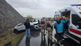 WhatsApp Image 2026-03-20 at 12.54.48