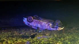 WhatsApp Image 2026-03-21 at 12.44.17