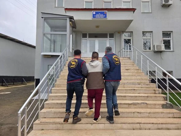 3c54d029-4413-4e9f-8756-8a6f8d36a646