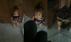 WhatsApp Video 2026-04-18 at 15.54.50.mp4_snapshot_00.10-horz