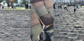 e5437f1d-4fbb-4481-a818-fb39b0360292-horz