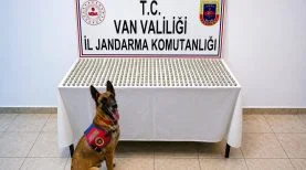 2f870ca2-5006-435c-8852-35ff1c1c11d6