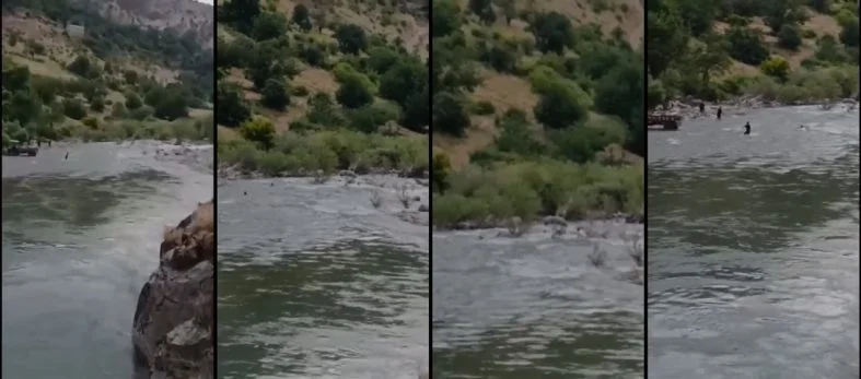 1------horz