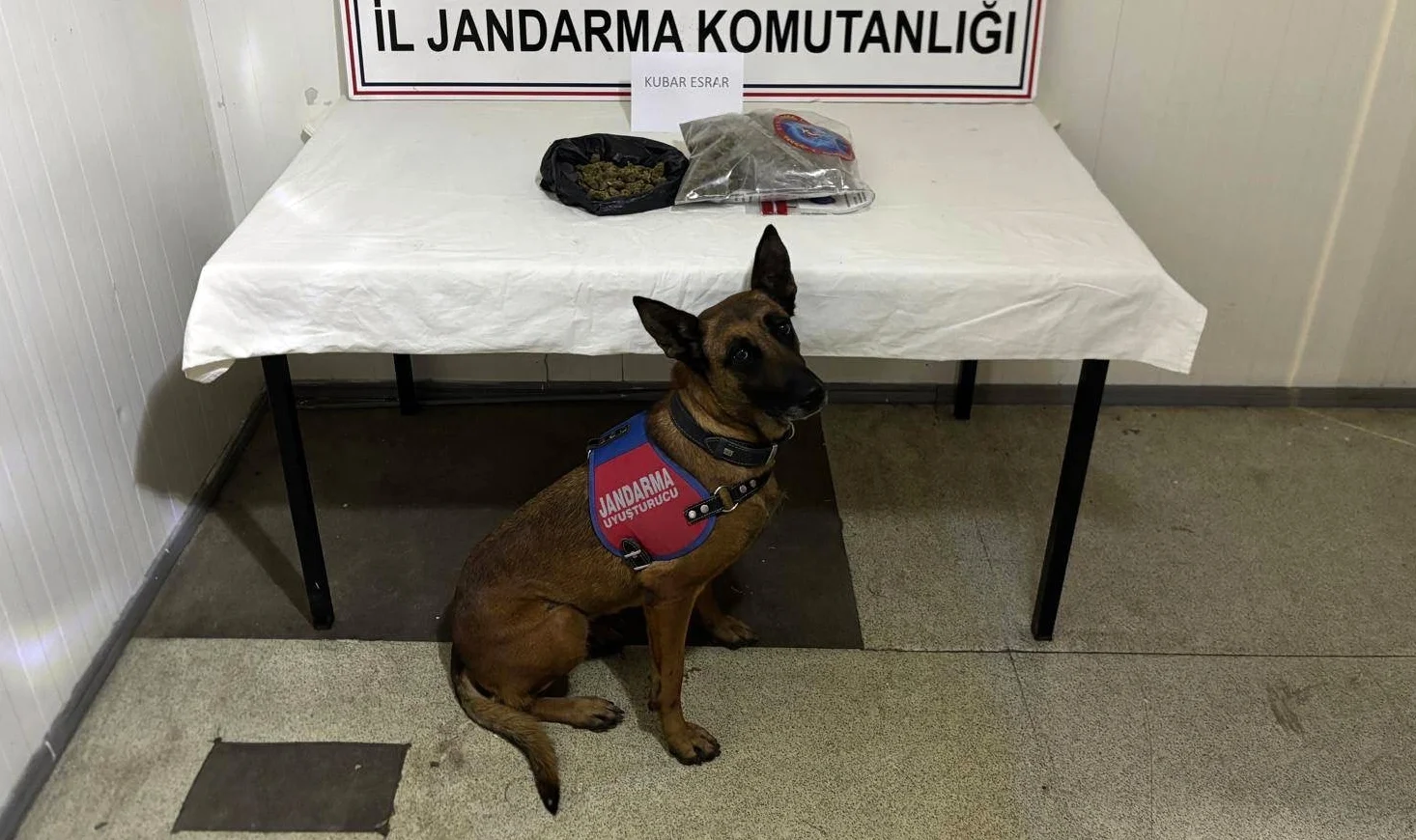 Bingöl’de 4 Firari Hükümlü Yakalandı, 17 Şüpheliye İşlem Yapıldı